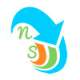 Nextsofts Global Corporation