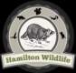 Photos of Hamilton Wild Life
