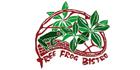 Photos of Tree Frog Lodge & Bistro