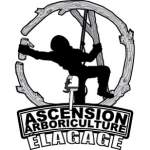 Photos of Ascension Arboriculture Elagage