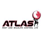 Photos of Atlas Pest And Wildlife Control Ltd
