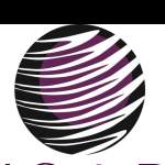 Photos of Bazylo &Amp; Dunn Chartered Professional Accountants Llp