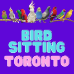 Photos of Bird Sitting Toronto