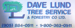 Photos of Dave Lund Tree Service And Forestry Co Ltd.