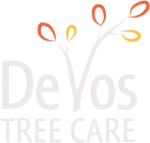 Photos of Devos Tree Care