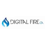 Photos of Digital Fire