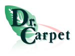 Photos of Dr. Carpet