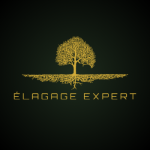 Photos of Élagage Expert
