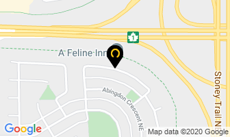 A Feline Inn in Calgary map