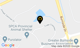 Absolute International Logistics in Dartmouth map