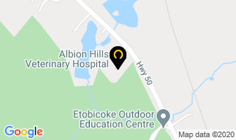 Albion Hills Veterinary Hospital in Caledon map