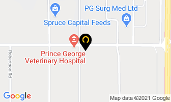 Alterna Energy Inc in Prince George map