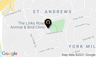 Amadeus Music Academy in Orillia map