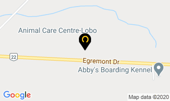Animal Care Centre-Lobo in Ilderton map