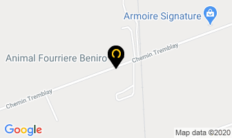 Animal Fourriere Beniro in Beresford map