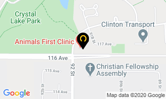 Animals First Clinic in Grande Prairie map