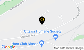 Annis O'sullivan Vollebekk Ltd in Guelph map