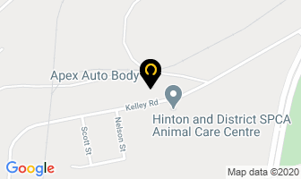 Apex Auto Body Ltd in Hinton map