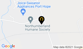 Appleman Motor Sales in Port Hope map