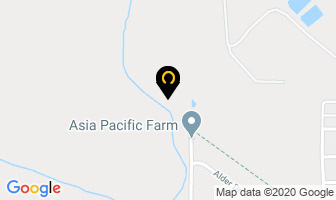 Asia Pacific Farms in Langley map