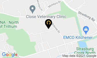 Avd Industrial Electronic And Controls Inc in Kitchener map