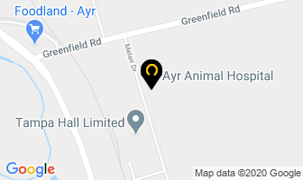 Ayr Animal Hospital in Ayr map