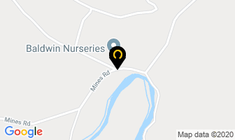 Baldwin`s Nurseries in Grand Falls-windsor map