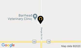 Barrhead Veterinary Clinic in Sicamous map