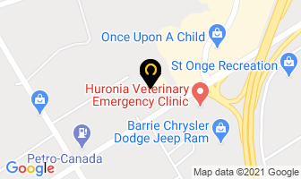 Barrie Burger Dunlop in Barrie map