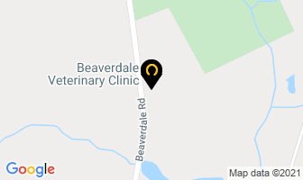 Beaverdale Veterinary Clinic in Cambridge map