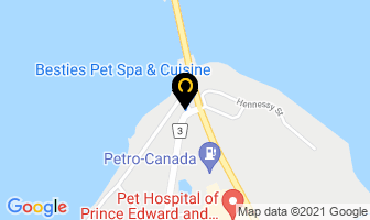 Besties Pet Spa & Cuisine in Belleville map