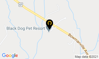 Black Dog Pet Resort in Selkirk map
