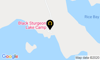 Black Sturgeon Lake Camp in Kenora map