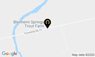 Blenheim Springs Trout Farm in Brighton map
