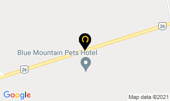 Blue Mountain Pets Hotel in Stayner map