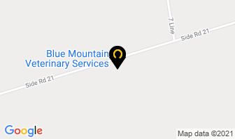 Blue Mountain Veterinary Services in The Blue Mountains map