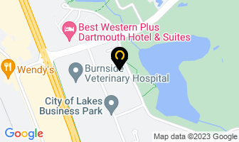 Blue Wave Cleaning Services in Dartmouth map