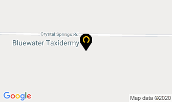 Bluewater Taxidermy in Bluewater map