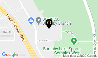 Body Plus Nutritional Products Inc in Brant map