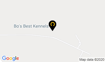 Bo's Best Kennels in Prince George map