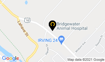 Bridgewater Animal Hospital in Bridgewater map