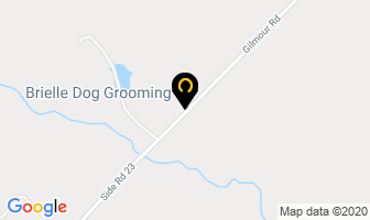 Brielle Dog Grooming in Saint-Georges map
