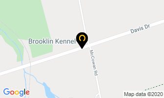 Brooklin Kennel in Charlie Lake map