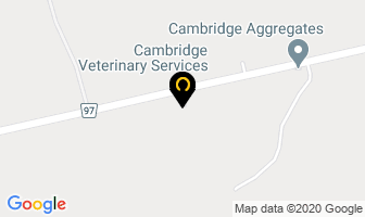 Cambridge Veterinary Services in Cambridge map