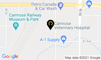Camrose Veterinary Hospital in Camrose map