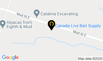 Canada Live Bait Supply in Hamilton map