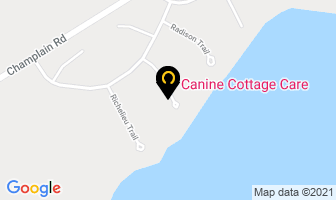Canine Cottage Care in Tiny map