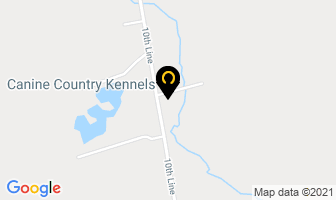 Canine Country Kennels in Barrie map