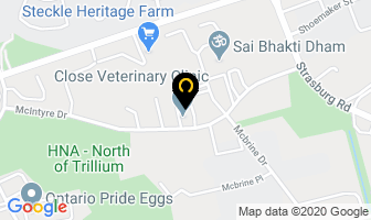 Car-San Manufacturing Limited in Kitchener map
