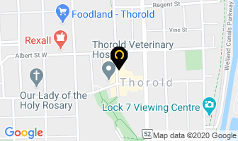 Carbon Salon in Estevan map